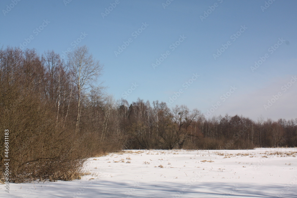 Winter meadow in the kampinowski national park Winter meadow in the kampinowski national park