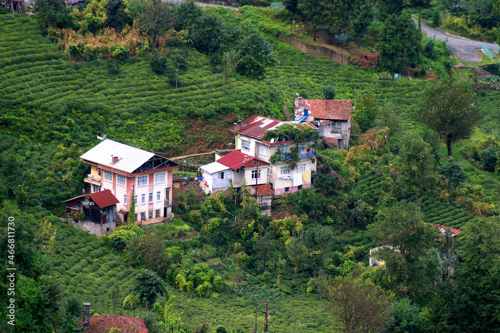 Village near at the city of Rize in Black Sea, Turkey. Rize is built around a small bay on the Black Sea coast. Village near at the city of Rize in Black Sea, Turkey. Rize is built around a small bay on the Black Sea coast.