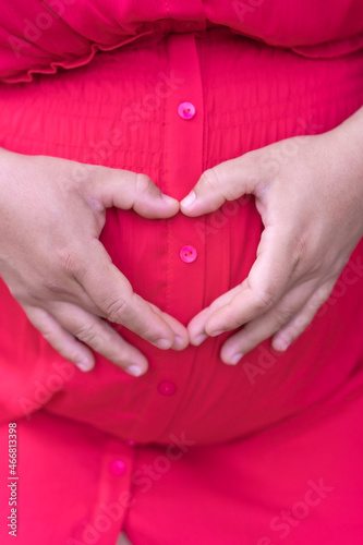 Wallpaper Mural Hands of a pregnant woman making a heart on the pregnant belly, pregnant sitting in a forest Torontodigital.ca
