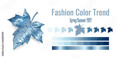 Fashion color trend Spring-Summer 2021-2022. Colour palette with different shades of winter blue color and gradient. Maple tree leaf on white background. Paint palette mock up. Vector illustration