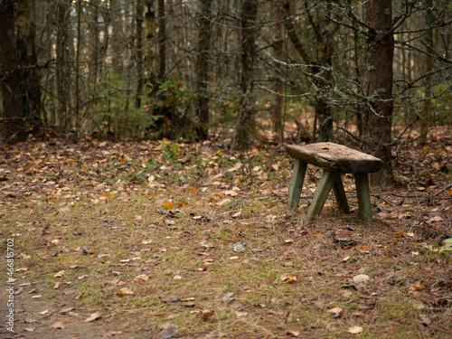An old wooden stool in the forest. autumn russia