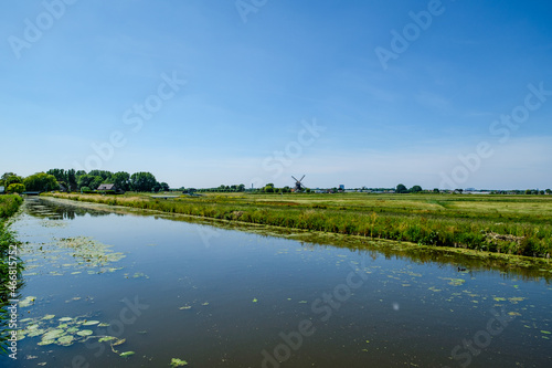 The nature reserve of Midden Delfland, a beautiful agricultural polder landscape near Rotterdam, the Netherlands