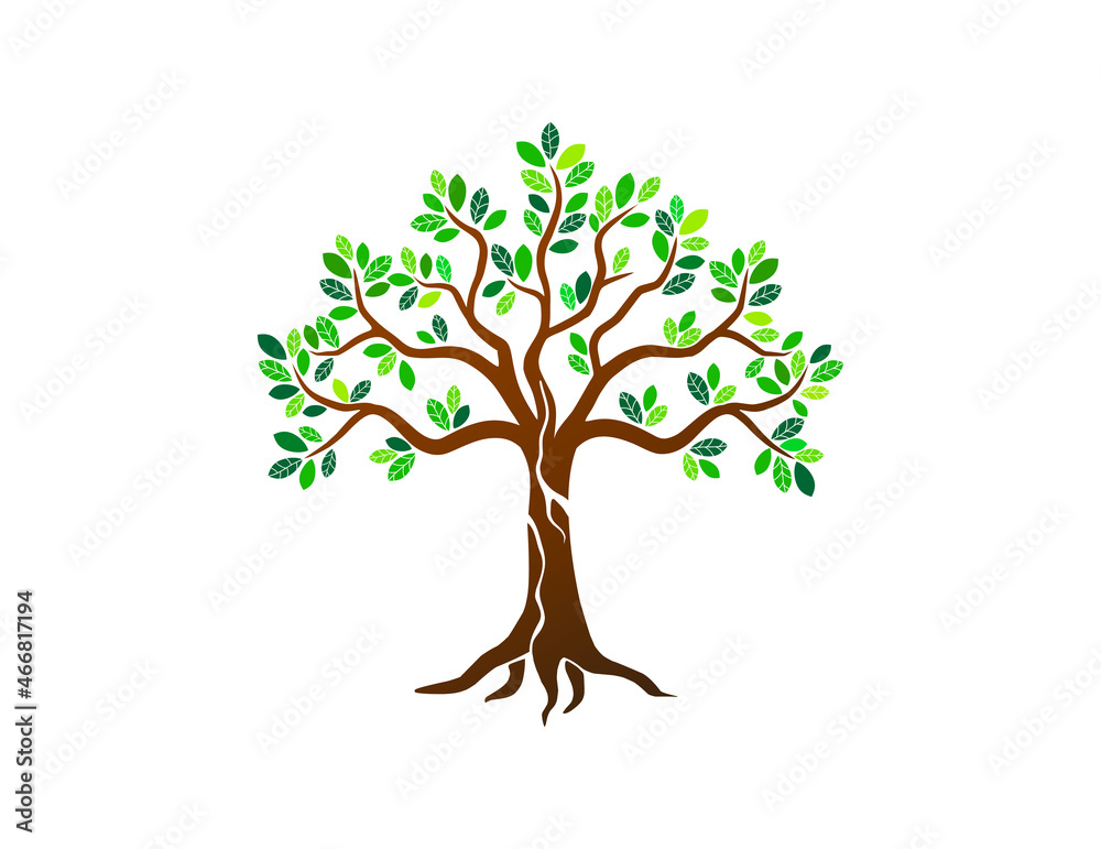 Obraz premium hand drawn tree vector illustrations