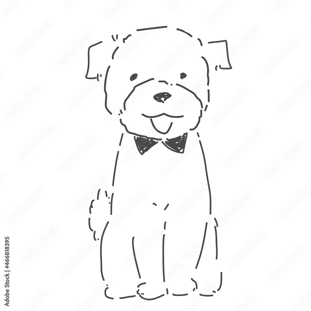 トイプードル おすわり