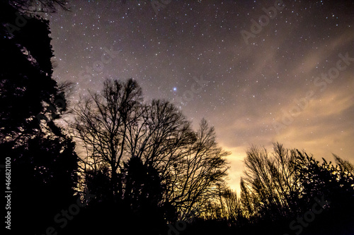 Las w środku nocy, Gwiaździste niebo w lesie, Łuna chmur nad lasem, Światło miaswta nocą, gwizdy nocą