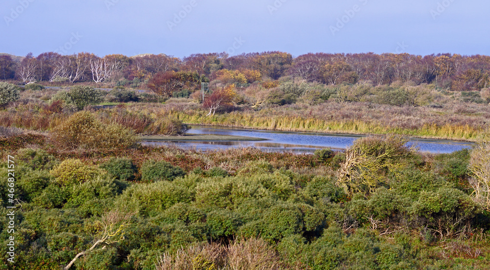 Obraz premium Südstrandpolder Norderney