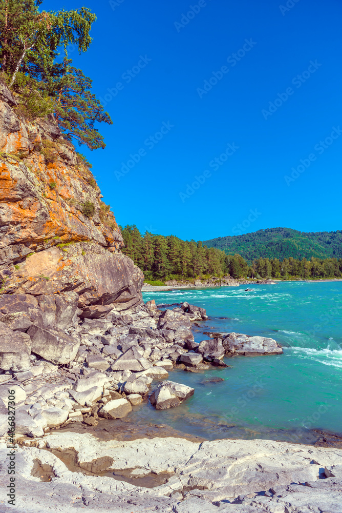 Fototapeta premium katun river with turquoise water and stones