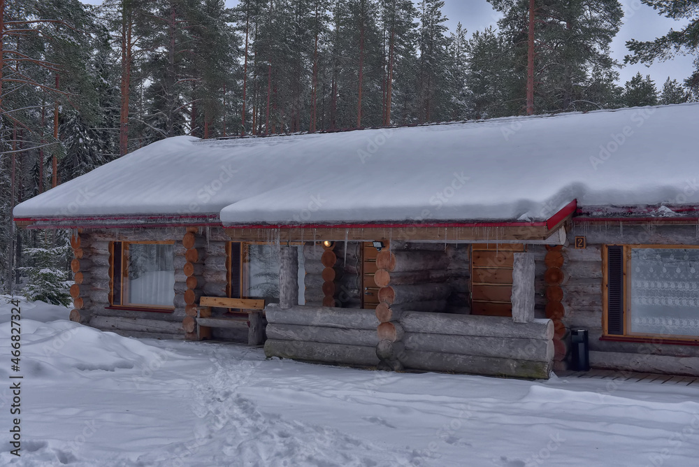 log cabin in a pine forest in winter