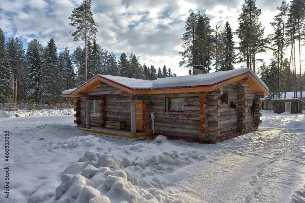 log cabin in a pine forest in winter