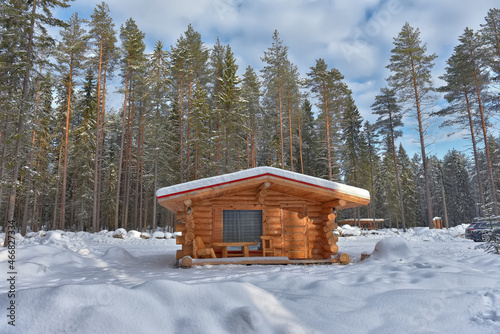 log cabin in a pine forest in winter