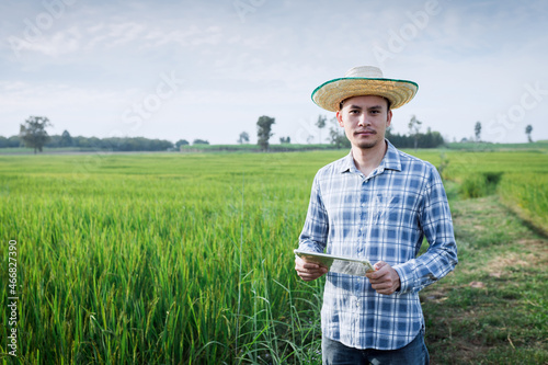 Asian man farmer with smartphone walk to inspect rice trees on the rice farm.