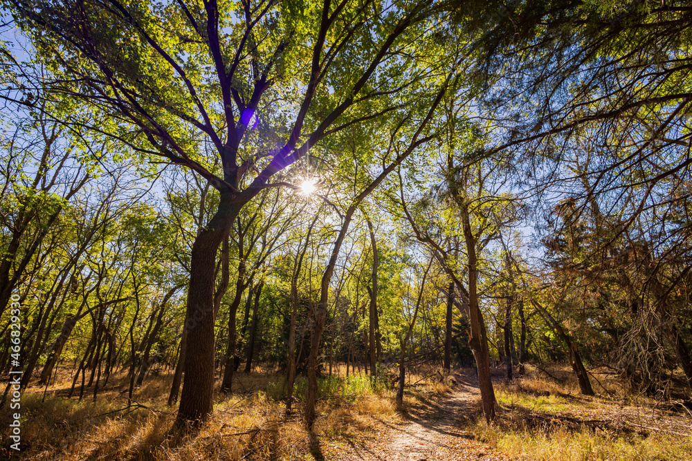 Sunny view of the landscape inside the Boiling Springs State Park