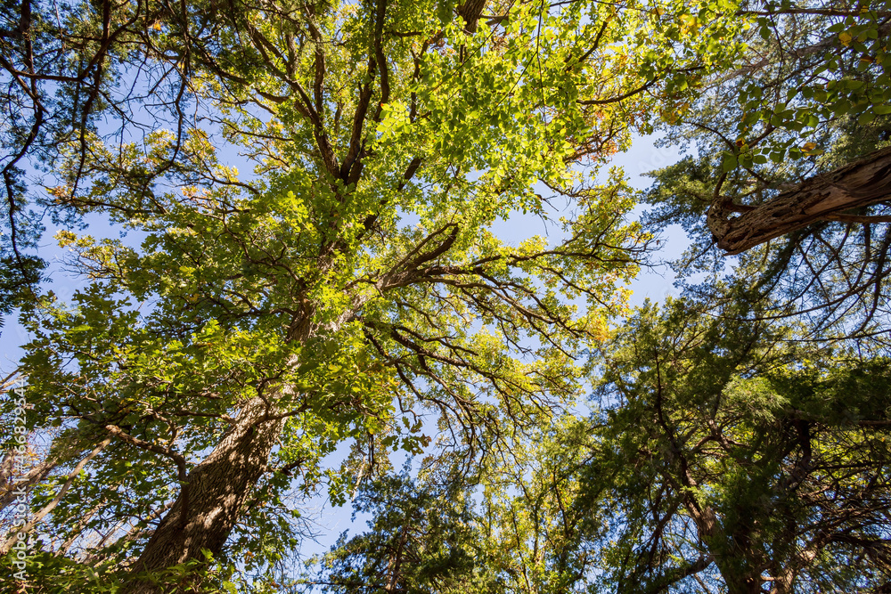 Obraz premium Sunny view of the landscape inside the Boiling Springs State Park