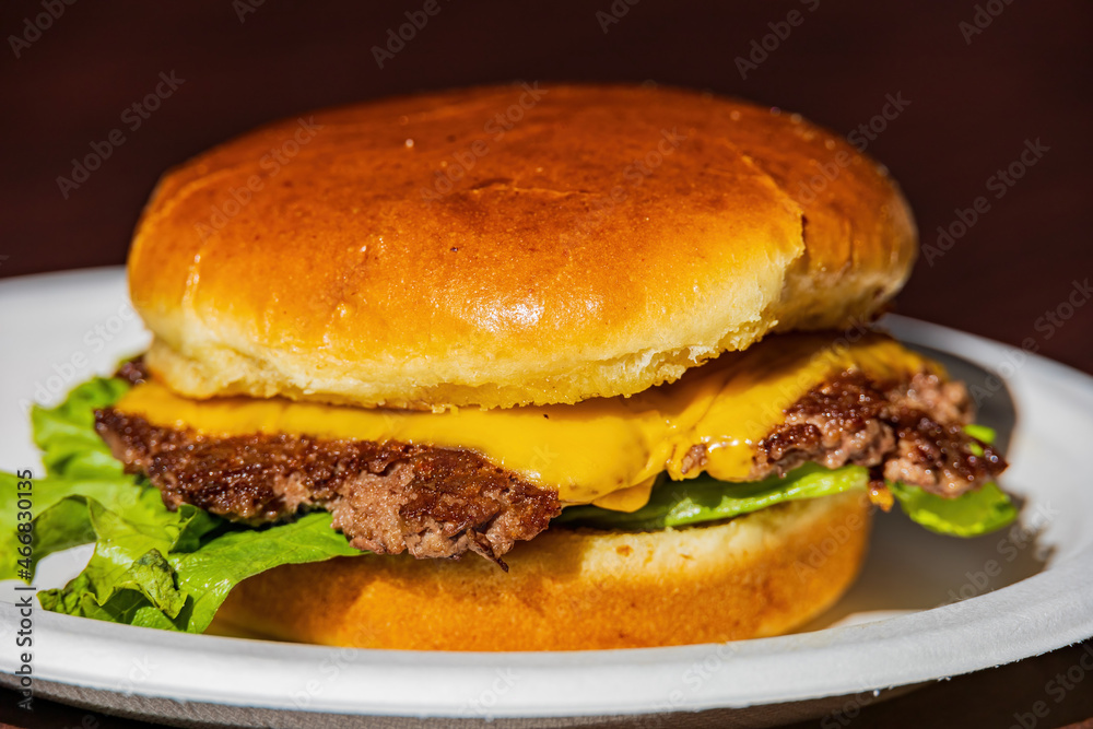 Close up shot of burger