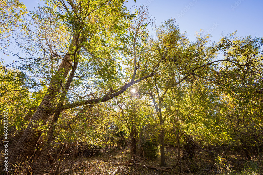 Fototapeta premium Autumn landscape of the Jet Recreation Nature Trail