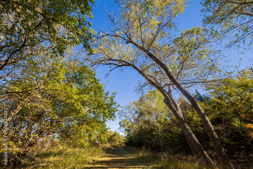 Autumn landscape of the Jet Recreation Nature Trail Autumn landscape of the Jet Recreation Nature Trail