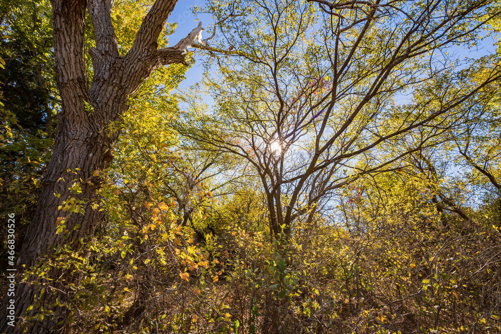 Autumn landscape of the Jet Recreation Nature Trail Autumn landscape of the Jet Recreation Nature Trail