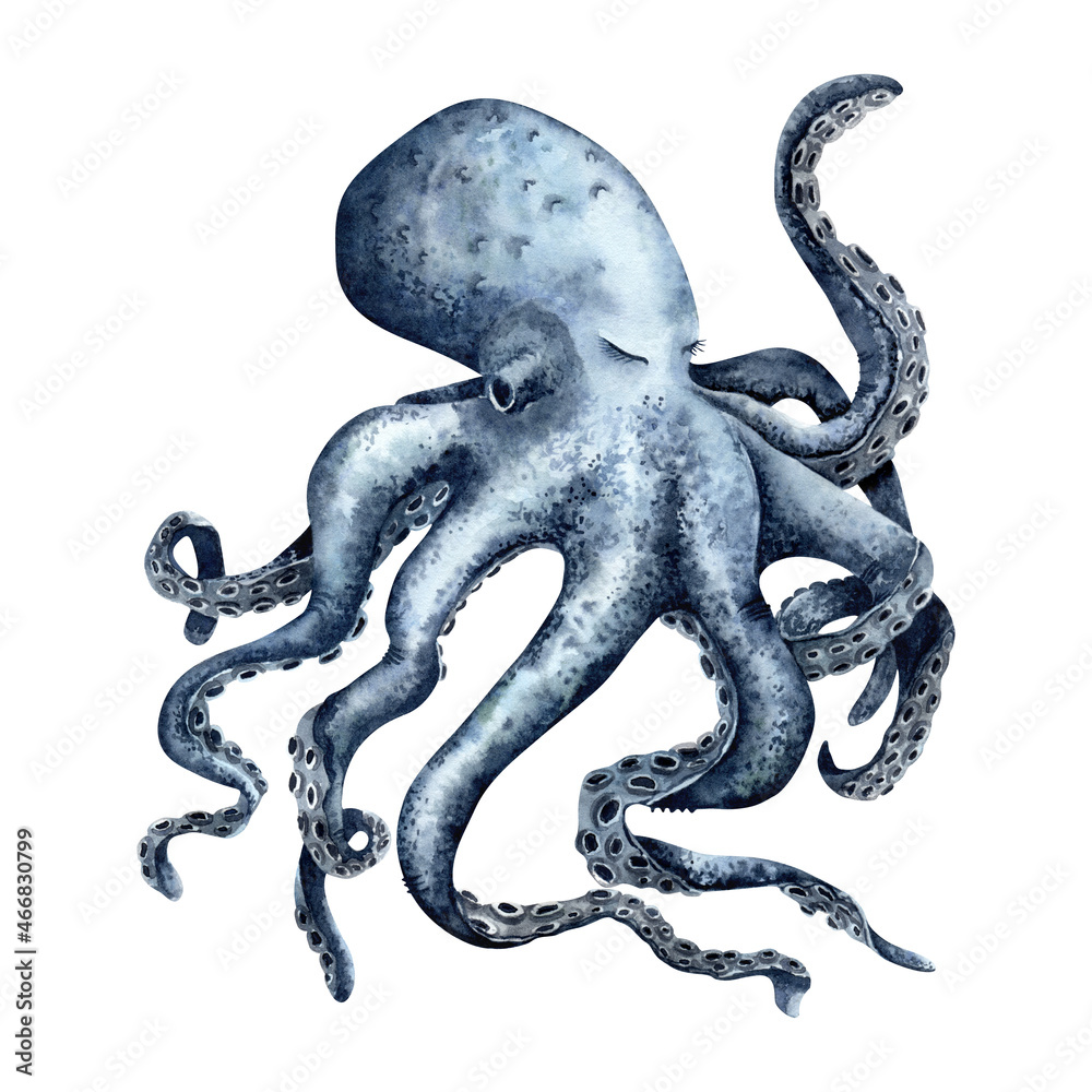 Giant pacific octopus. Watercolor ocean creature illustration isolated ...
