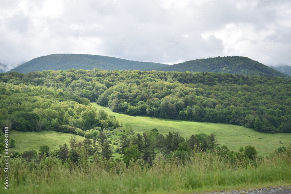 landscape in the mountains