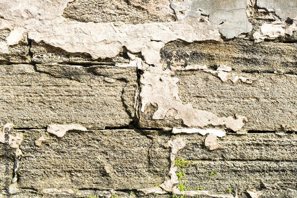 Fototapeta premium wall of shell rock bricks
