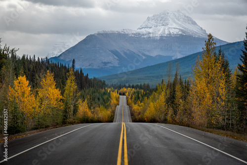 Fall colors along the Ice Fields Parkway in Banff National Park, Jasper National Park