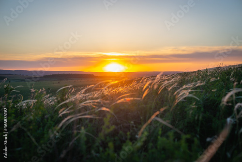 Sunset and dry feather grass on the mountain.