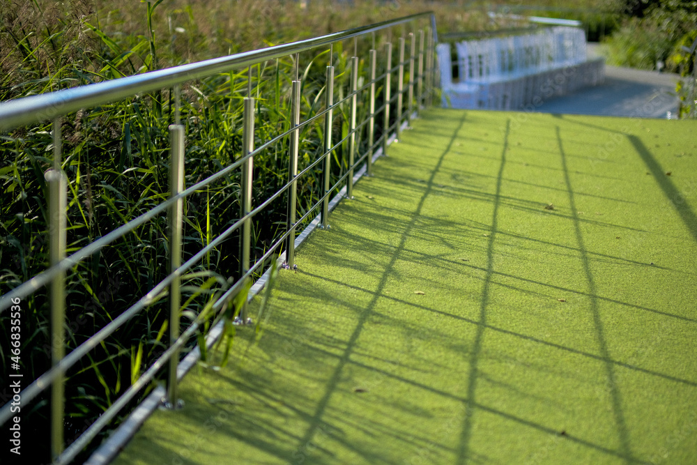 green lawn and metal fence green lawn and metal fence