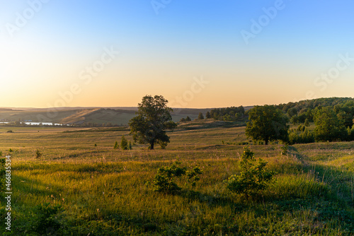 Wonderful evening landscape in summer.