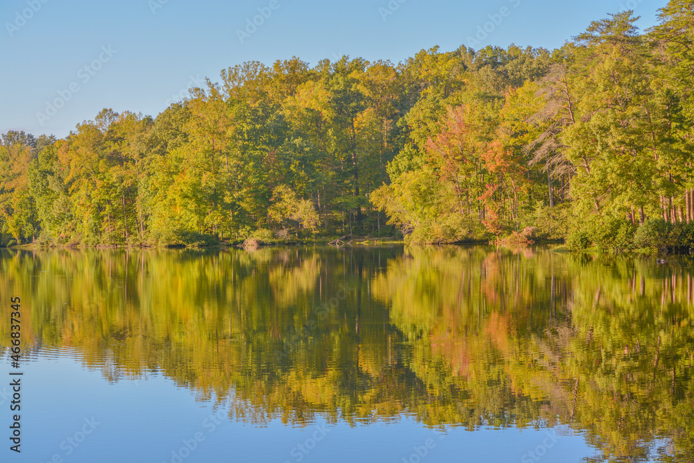 Mirror image of the trees in the Bear Creek Lake State Park in Cumberland, Virginia Mirror image of the trees in the Bear Creek Lake State Park in Cumberland, Virginia