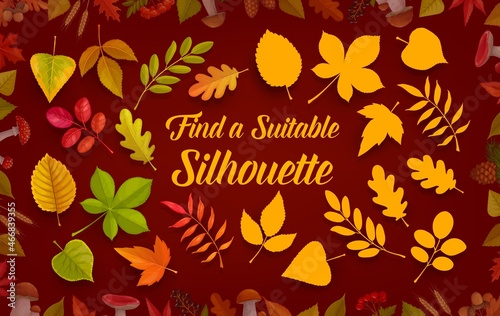 Kids game worksheet find suitable silhouette of autumn leaves, leaf fall. Vector shadow match riddle with oak, birch, rowan and maple or chestnut tree leaves shades. Children logic mind development