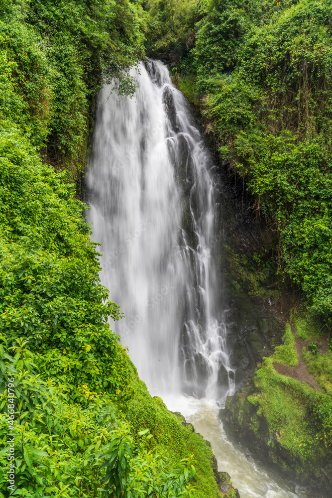 Deep in the forest, otavalo waterfall