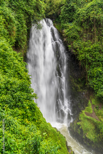 Deep in the forest, otavalo waterfall