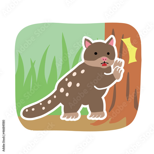 びっくりしているオオフクロネコのイラスト　オーストラリアの動物