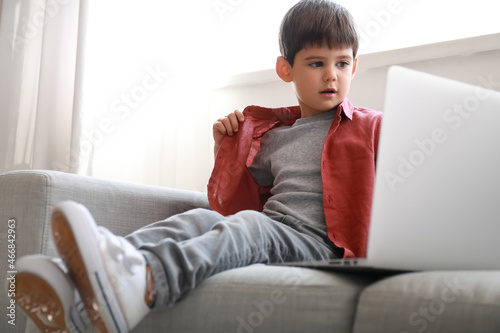 Little boy watching cartoons with laptop on sofa in living room © Pixel-Shot