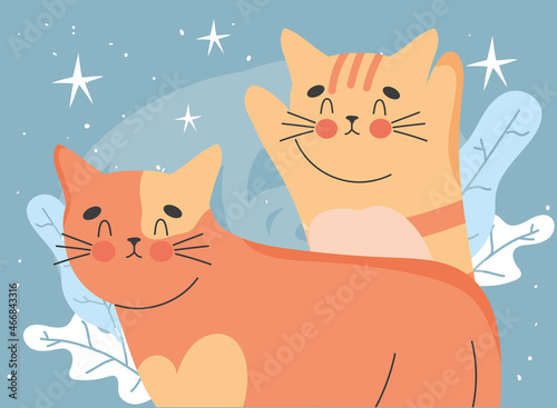 beautiful cats image
