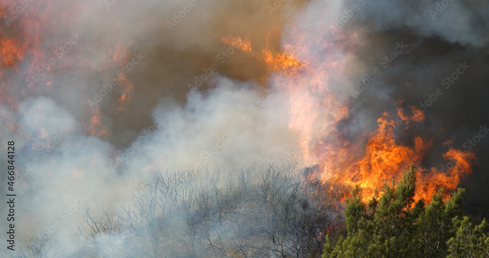 Woolsey Fire, Malibu California fire Burnt Mountains
