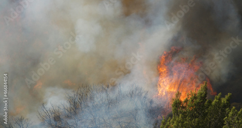 Woolsey Fire, Malibu California fire Burnt Mountains 