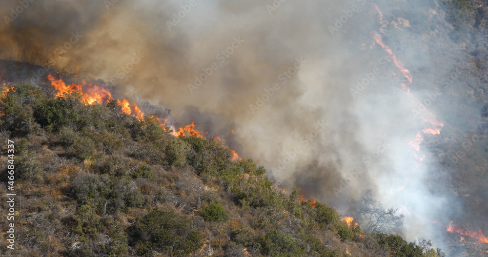Naklejka premium Woolsey Fire, Malibu California fire Burnt Mountains 