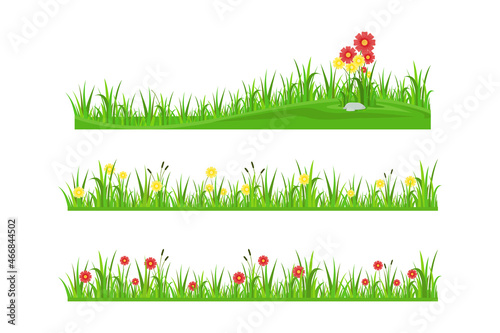grass border with flowers vector design