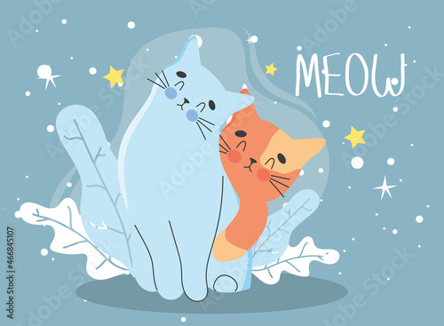 beautiful cats poster
