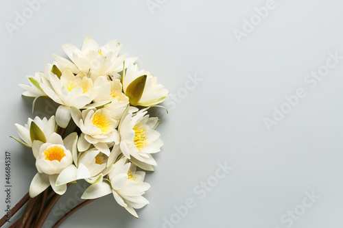Bouquet of beautiful blooming lotus flowers on grey background