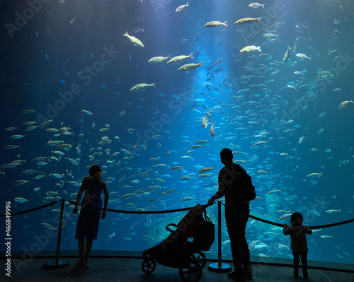 Eine Familie steht vor einem Meeresbecken im Ozeaneum