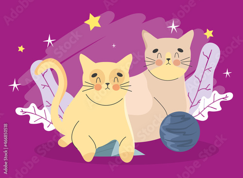 beautiful cats cartel