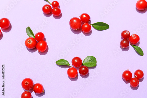 Ripe lingonberry on lilac background, closeup