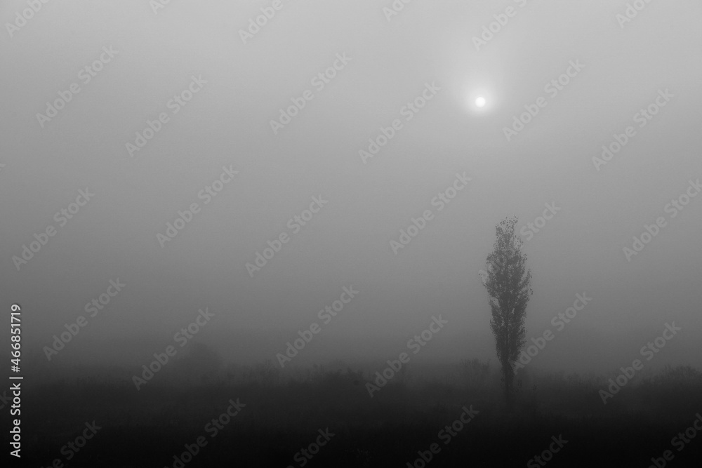 Fototapeta premium 황강 물안개