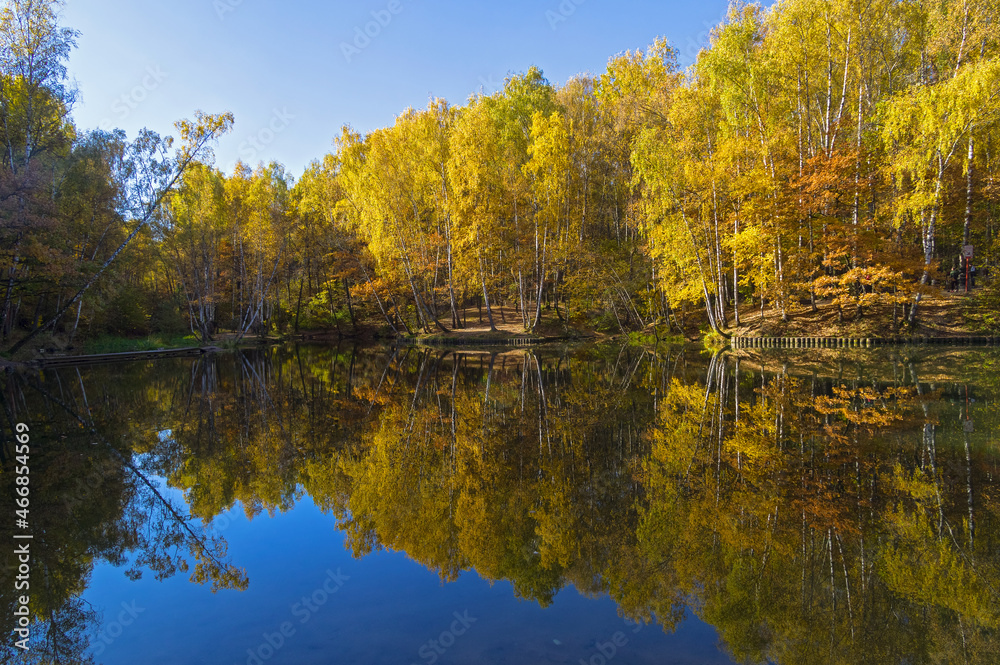 Beautiful mirror reflection of the coastal autumn forest in the pond.