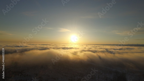 Fog over the forest. Winter. Shooting from a drone. Snow covered trees in the fog.