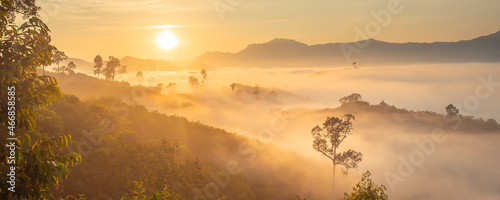 Panorama of Beautiful scenery landscape sunlight in the morning sunrise above flowing fog waves on mountain peak tropical rainforest. rainforest in the morning with fog and sunrise. jurassic forest.
