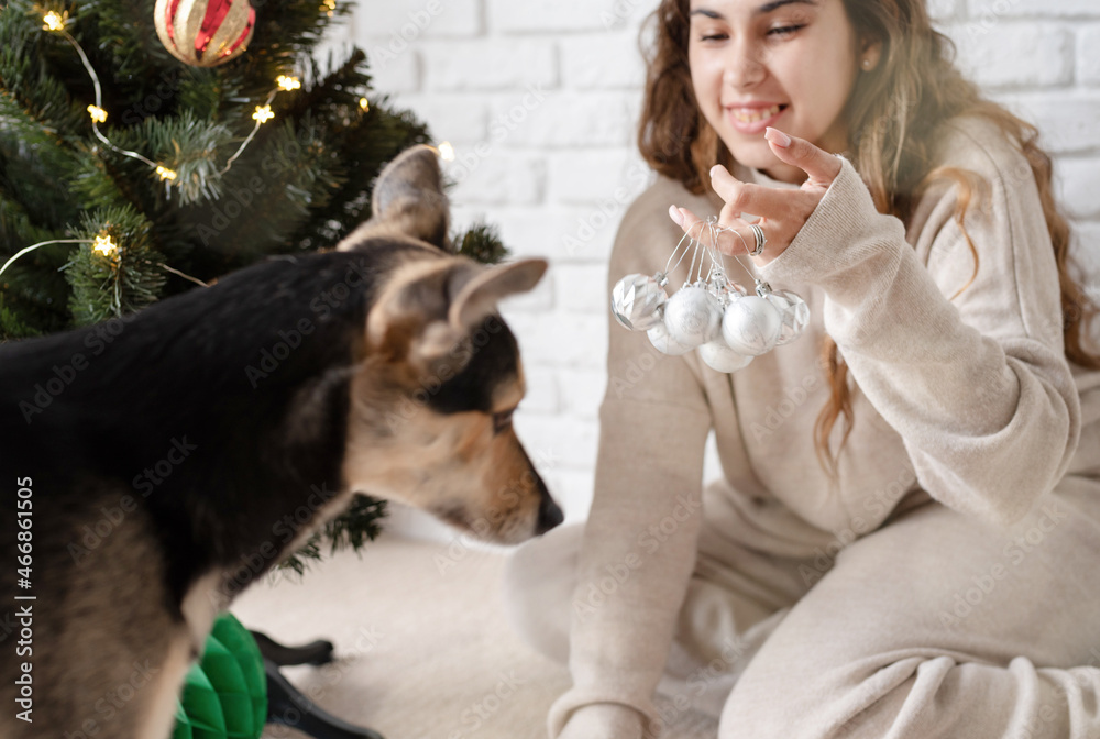 Obraz premium young attractive woman decorating the Christmas tree and playing with dogs