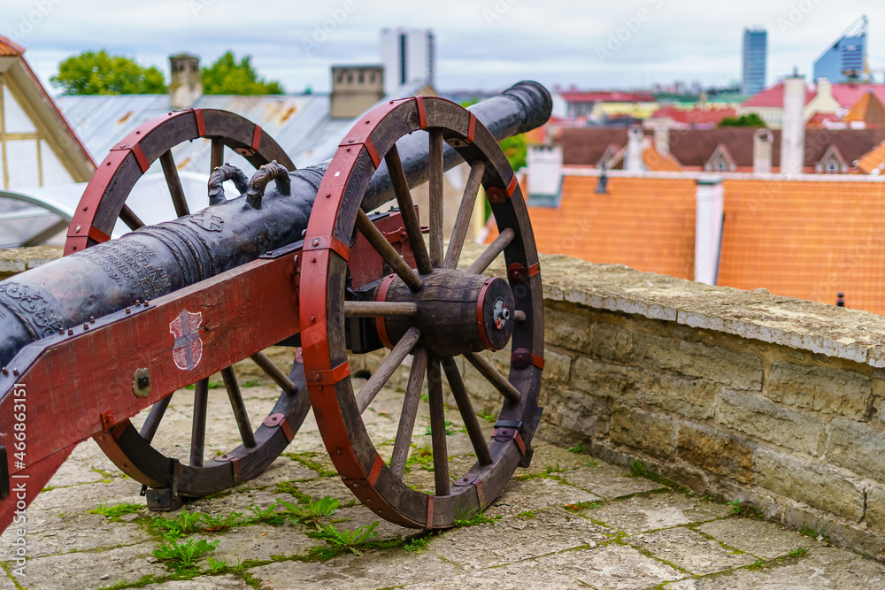 Ancient artillery cannon next to the medieval wall of Tallinn Estonia.